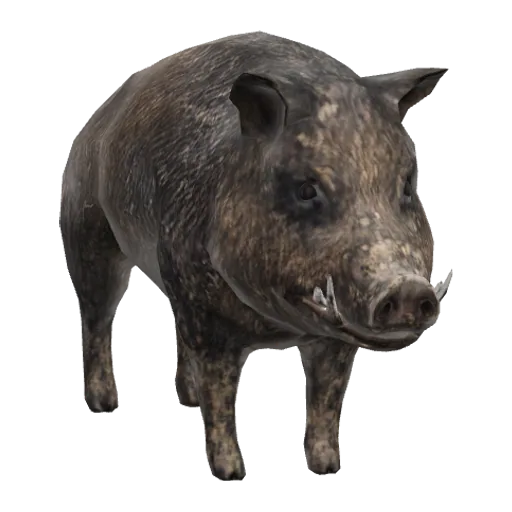 a_c_boar (a_c_boar) in GTA V