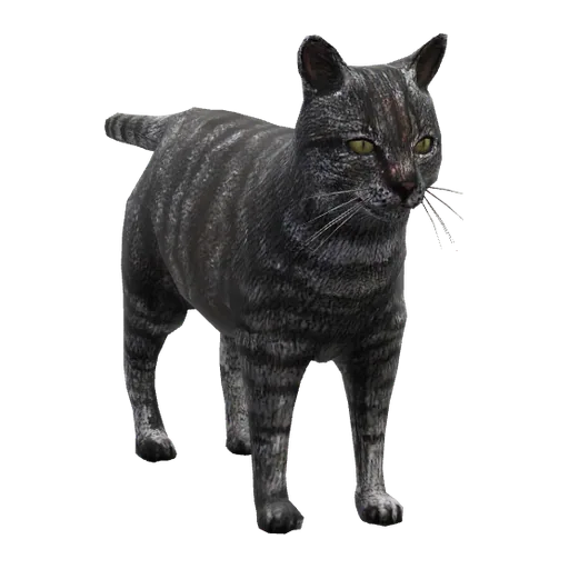 a_c_cat_01 (a_c_cat_01) in GTA V