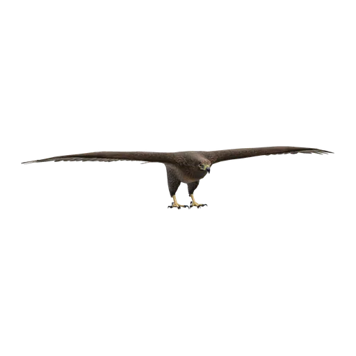 a_c_chickenhawk (a_c_chickenhawk) in GTA V