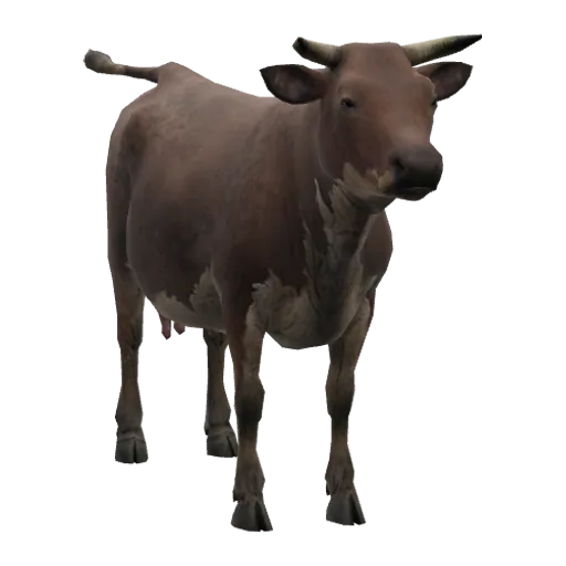a_c_cow (a_c_cow) in GTA V