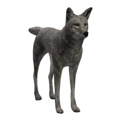 a_c_coyote (a_c_coyote) in GTA V