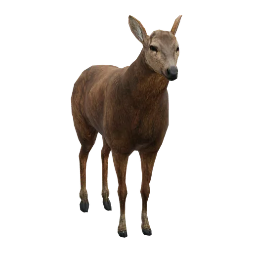 a_c_deer (a_c_deer) in GTA V