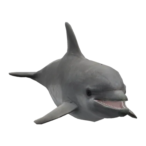 a_c_dolphin (a_c_dolphin) in GTA V