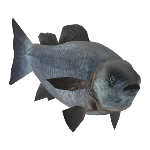 a_c_fish (a_c_fish) in GTA V