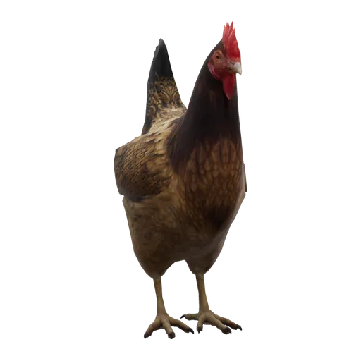 a_c_hen (a_c_hen) in GTA V