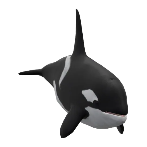 a_c_killerwhale (a_c_killerwhale) in GTA V