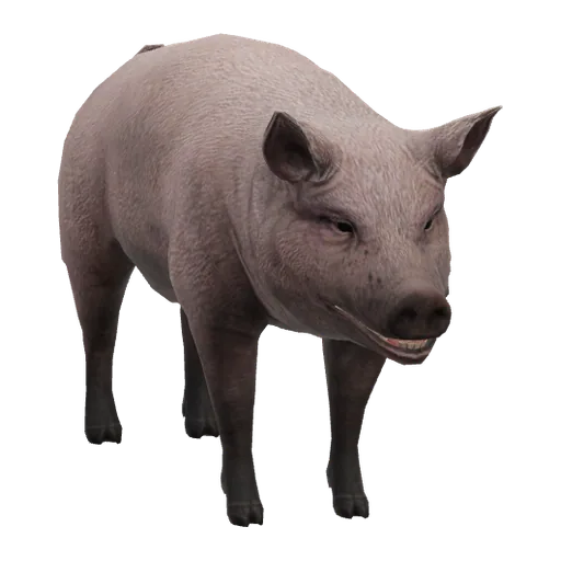 a_c_pig (a_c_pig) in GTA V