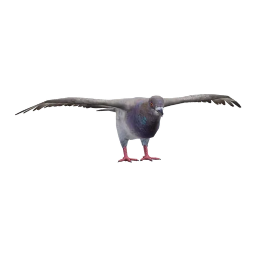 a_c_pigeon (a_c_pigeon) in GTA V