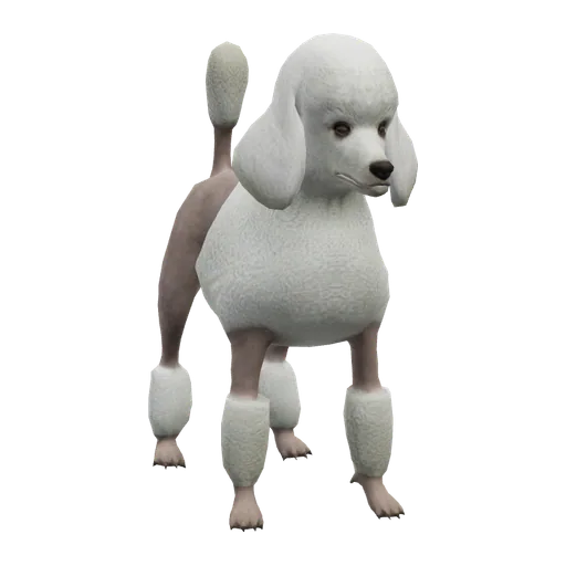 a_c_poodle (a_c_poodle) in GTA V