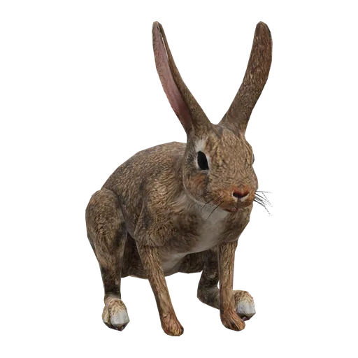 a_c_rabbit_01 (a_c_rabbit_01) in GTA V