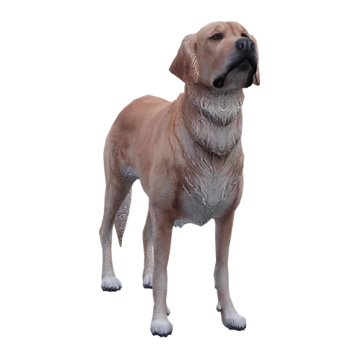 a_c_retriever (a_c_retriever) in GTA V