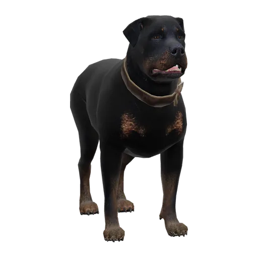 a_c_rottweiler (a_c_rottweiler) in GTA V