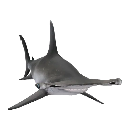 a_c_sharkhammer (a_c_sharkhammer) in GTA V