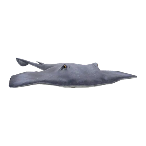 a_c_stingray (a_c_stingray) in GTA V